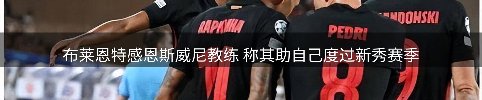网站资讯