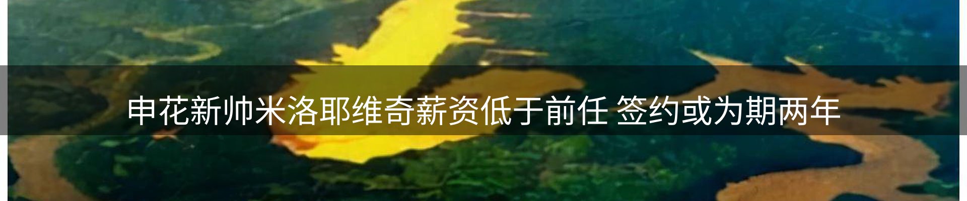 网站资讯