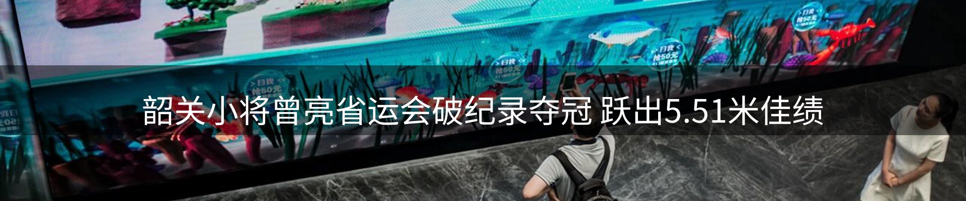 网站资讯